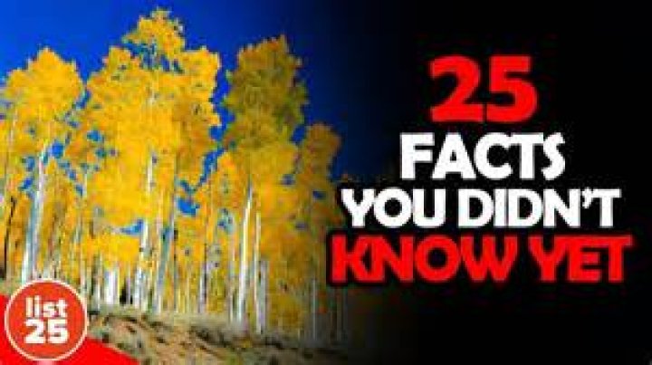 25 Things You Didn't Know About Julianna Guill