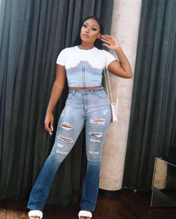 Megan Thee Stallion Wiki, Height, Age, Boyfriend, Family, Biography