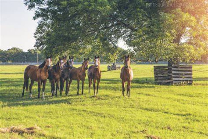 October Hill Farm wendyg