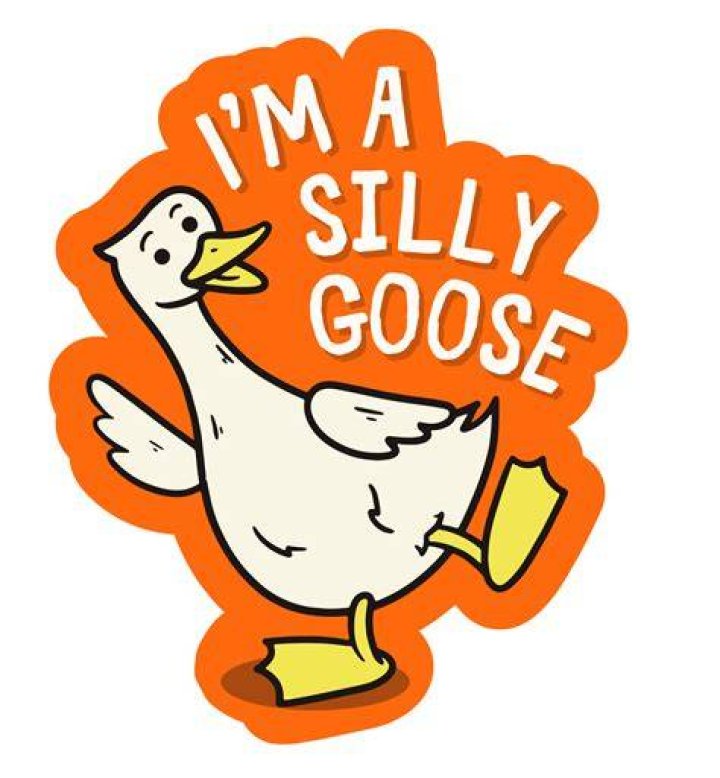 Silly Goose TikTok Here&rsquo;s All About The Hilarious Video BrunchVirals