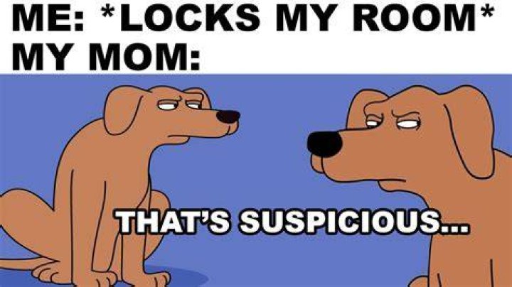 sus dog meme memes