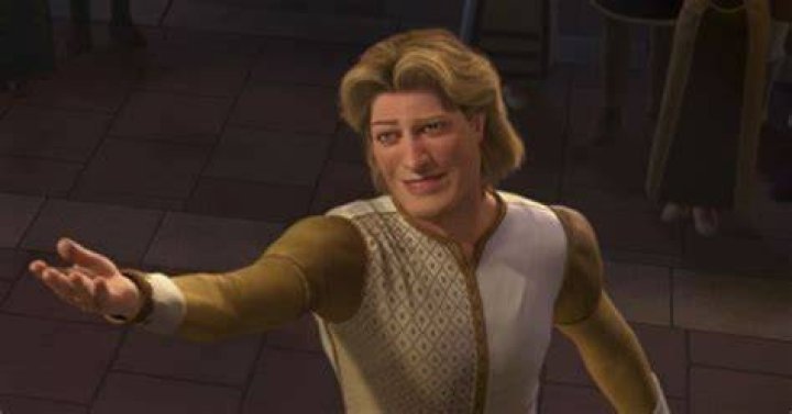 Unveiling The Charm Of The Handsome Prince Shrek